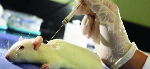 Leitores analisam questão polêmica do uso de animais em pesquisas de laboratórios científicos | Foto: Paulo Victor/AE