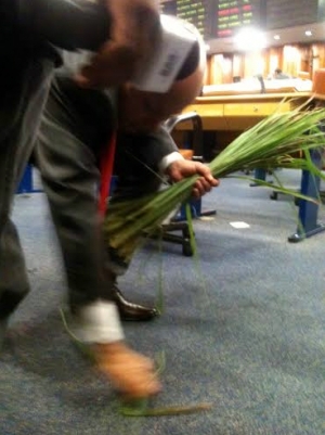 Vereador Djalma Araújo (SDD) recolhe folhas de erva cidreira que caíram no plenário. Paço Municipal gastou R$ 37,5 mil com 5 mil pacotes de chá . Foto: Marcello Dantas/Jornal Opção Online