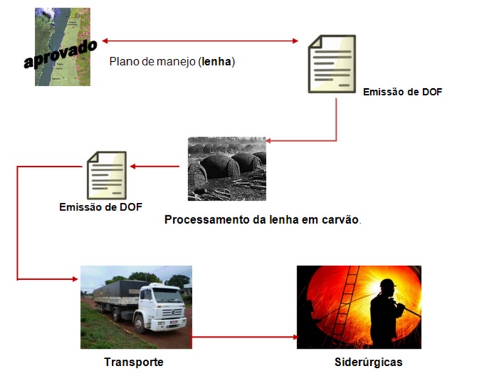 Fluxograma sobre falsificação do DOF | Reprodução PF