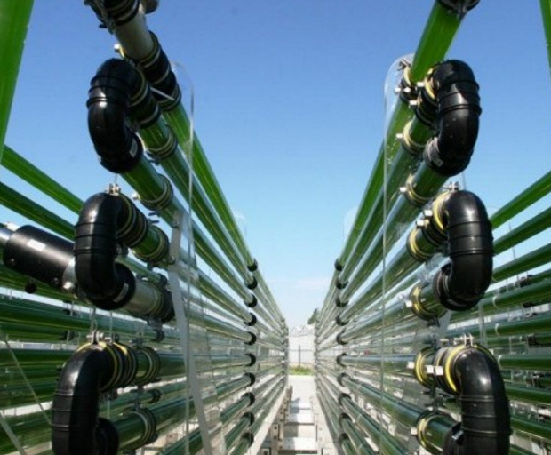 Usina de biocombustível, se concretizada, deverá gerar 5 mil empregos | Foto: Divulgação