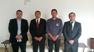 contabilistas opção