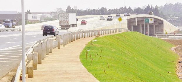 Viaduto agiliza o tráfego entre as BRs 060/153, dá mais segurança e facilita o acesso ao Distrito Agroindustrial de Anápolis