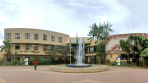 Foto: reprodução / Câmara Municipal de Goiânia