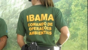 ibama destaque