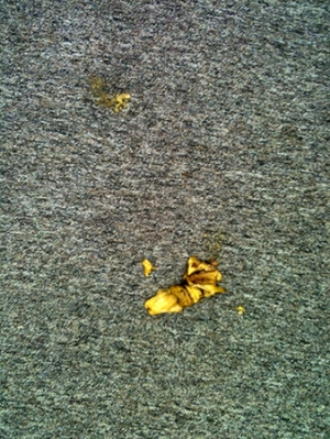 Banana foi arremessada no plenário na segunda-feira (4) | Foto: Marcello Dantas