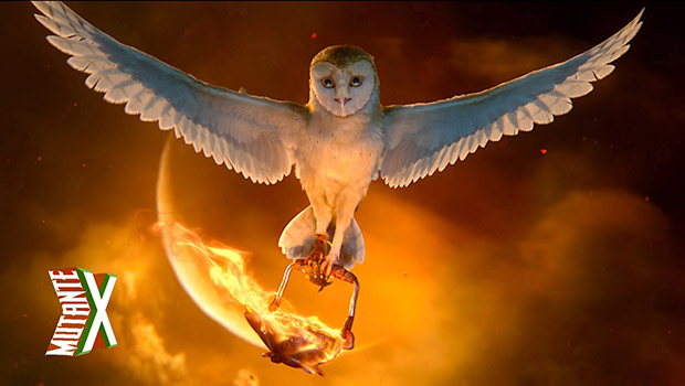 LEGEND OF THE GUARDIANS: THE OWLS OF GA'HOOLE