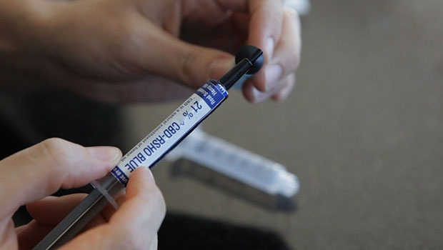 Foto: Reprodução/PT