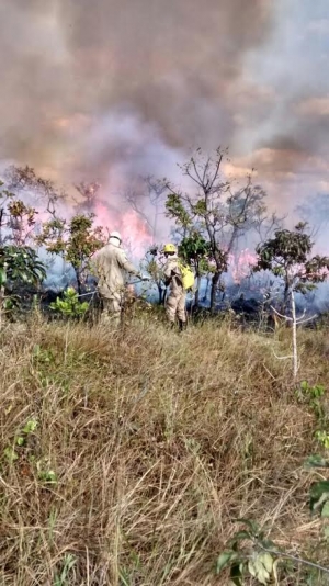 parque dos pireneus2