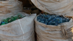 Foto: Sarah Teófilo