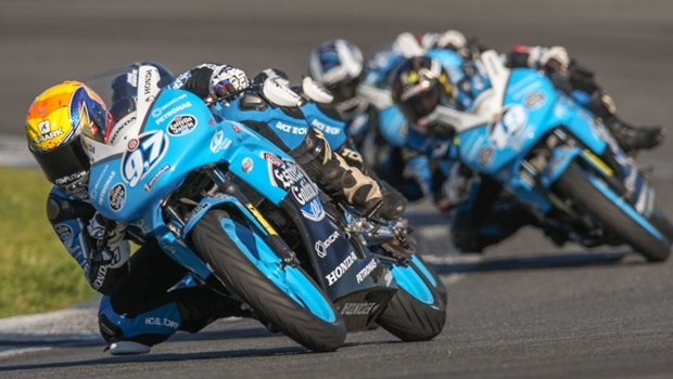 | Foto: Divulgação