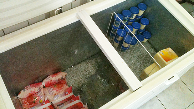 Outro freezer tinha requeijão, iogurte e queijo na Escola Abrão Rassi | Foto: Marcello Dantas