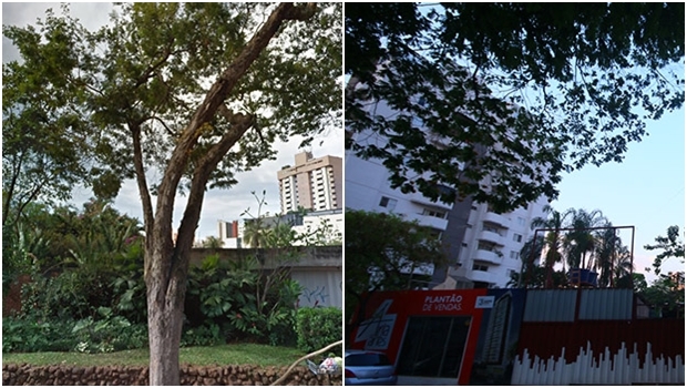 A casa da professora Sáida Cunha, na Rua 7, Setor Oeste, foi demolida para dar lugar a um grande empreendimento de luxo: a pressão imobiliária foi mais forte e abriu clarão na paisagem | Fernando Leite/Jornal Opção