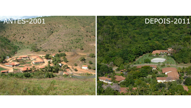 Comparação entre áreas desmatadas em dez anos | Divulgação