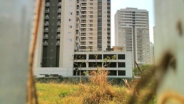 Em um dos terrenos já vistoriados tem apenas mato | Marcello Dantas