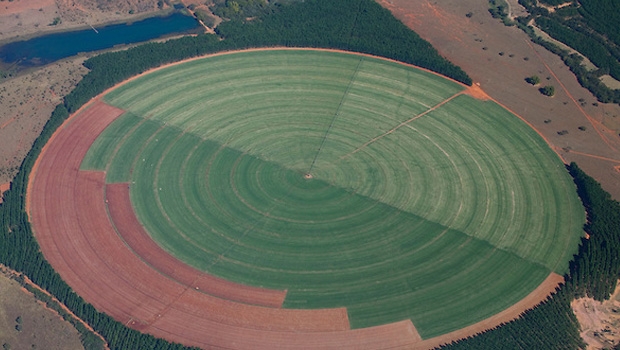 Espaço de cultivo faz círculo no meio da vegetação nativa: expansão da fronteira agrícola na berlinda | Foto: Leo Drumond/Nitro