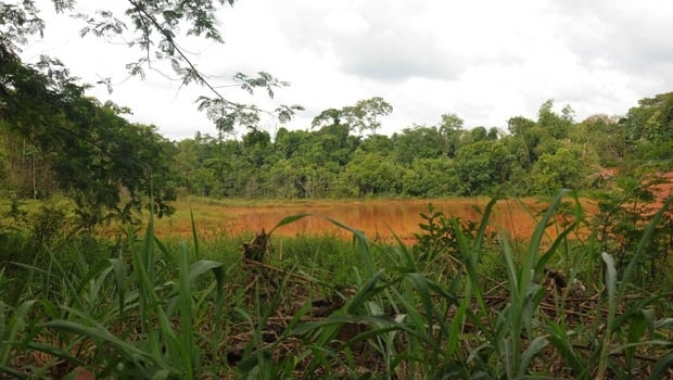 Situação de lagoa natural próxima à nascente do Córrego assusta | Foto: Renan Accioly