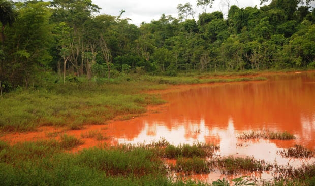 Lago natural da nascente do Córrego Jaó, ao lado da Rua da Divisa. Água fica no local e em seguida segue curso do córrego| Foto: Renan Accioly