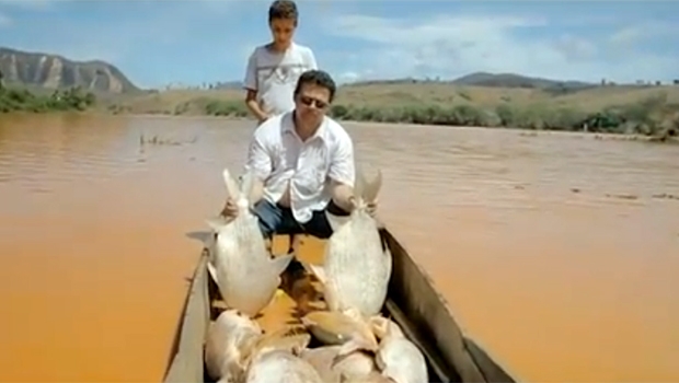 Pescador mostra quantidade de peixes mortos em barco | Reprodução