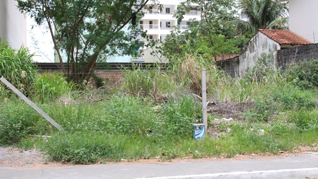 | Foto: Bruna Aidar/ Jornal Opção