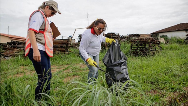 Força-tarefa em mobilização contra mosquito transmissor de doenças
