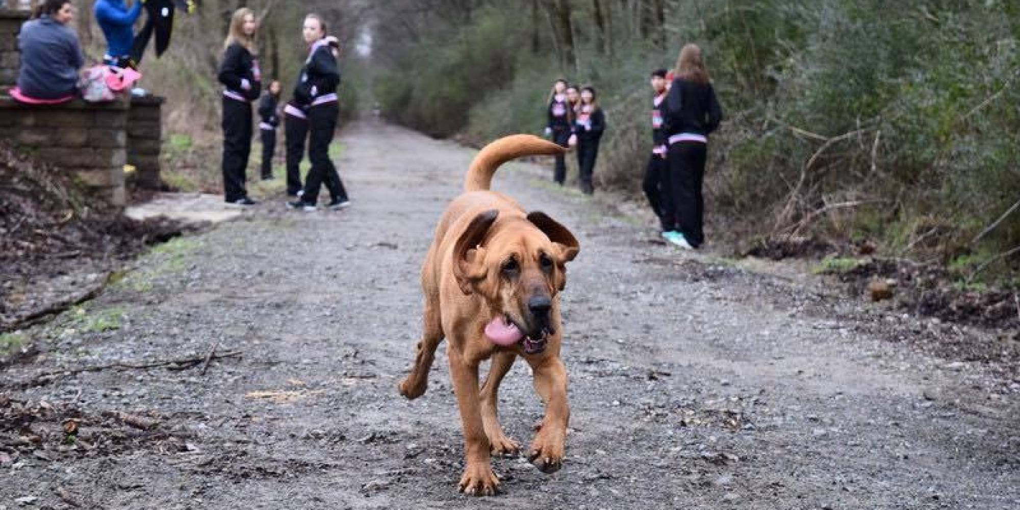 CACHORRA participa de -MARATONA-facebook