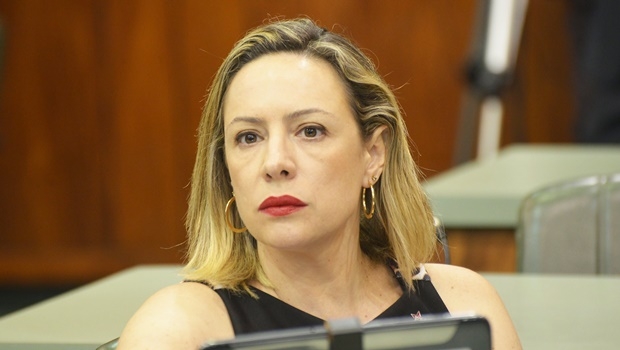 Este é o segundo ano de mandato da deputada | Foto: Marcos Kennedy