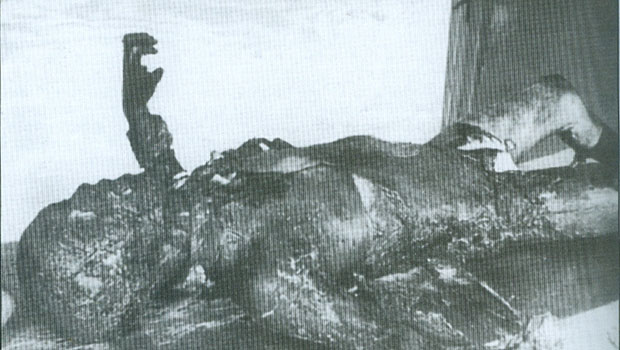 Corpo carbonizado do ministro da Propaganda, Joseph Goebbels, um dos nazistas mais proeminentes, antes da autópsia feita pelos médicos soviéticos