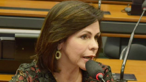 Deputada Professora Dorinha: integrante de quatro comissões | Foto: Fotos: Divulgação