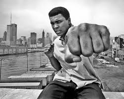Muhammad Ali 2 download