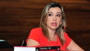 Delegada Silvana Nunes: "Embora não houvesse motivação, os crimes eram claramente premeditados"