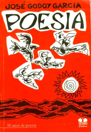 José Godoy Garcia capa do livro 1