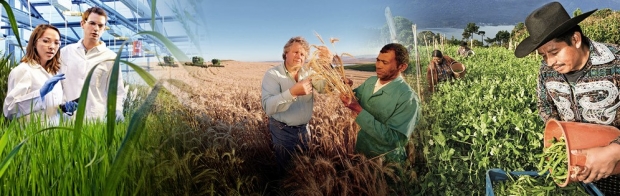 bayer-banner-crop-science