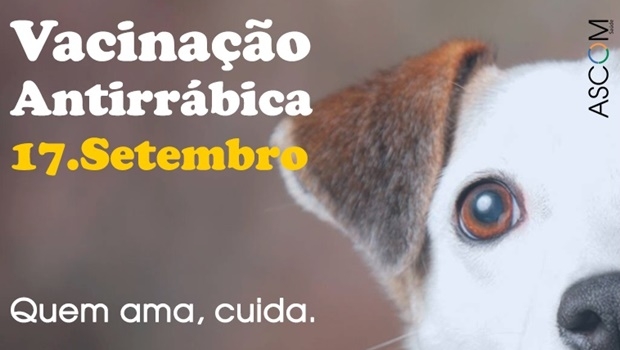 | Foto: Divulgação