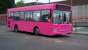 onibus-cor-de-rosa-foto-rerproducao