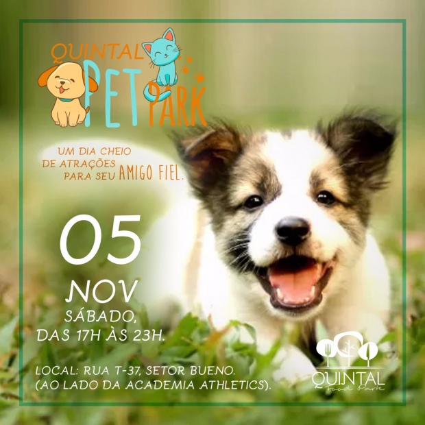 quintal-pet-park-1