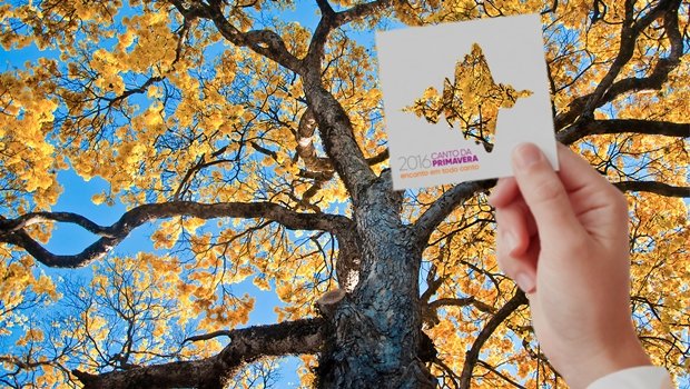 canto-primavera-2016