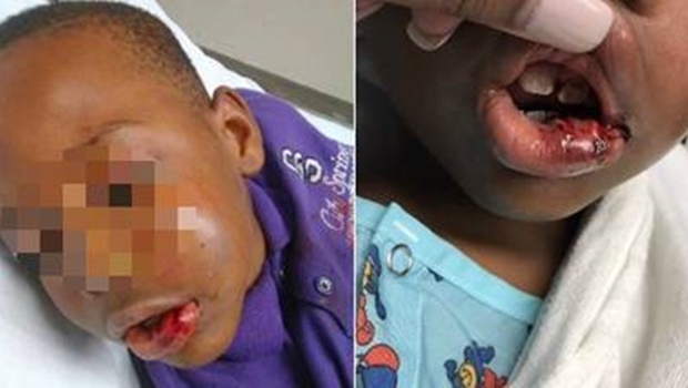 | Foto: Twitter / Kate Amara