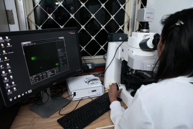 técnica de pesquisa para verificar câncer por agrotóxicos