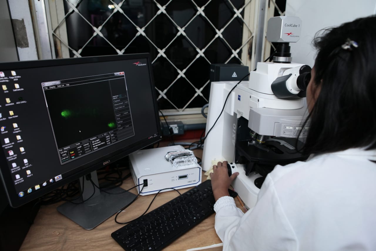 técnica de pesquisa para verificar câncer por agrotóxicos