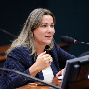Deputada Dulce Miranda