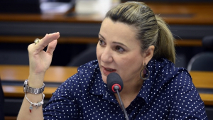 Deputada Dulce Miranda