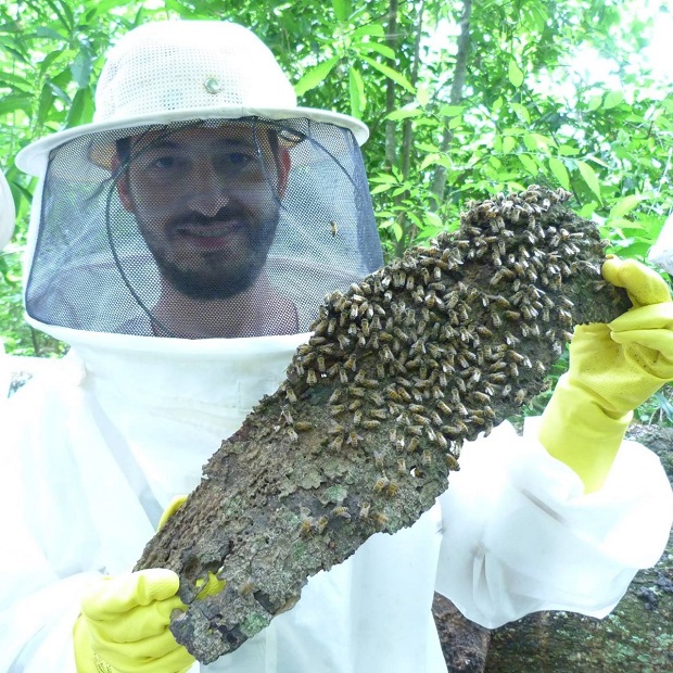 Criador de abelhas agrotóxicos