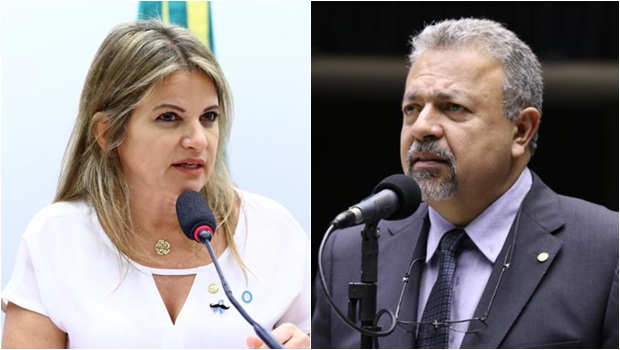 Flávia Morais Elias Vaz - Fotos Vinicius Loures e Cleia Viana Câmara dos Deputados