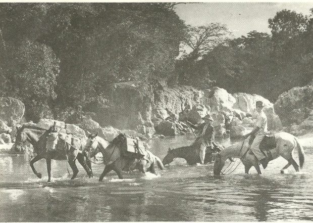Tropas Goiás