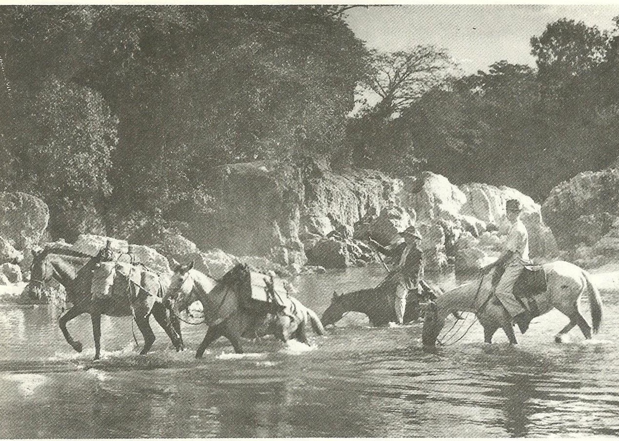 Tropas Goiás