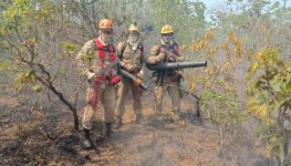 bombeiros-fogo-chapada-dos-veadeiros