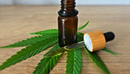 cannabis-remedio-tratamento