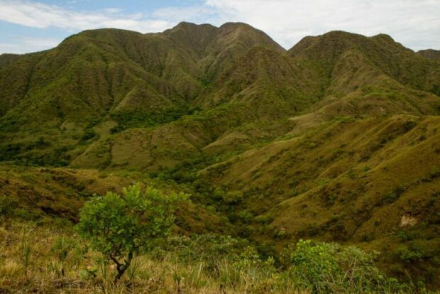 Legado Verdes do Cerrado, a Companhia Brasileira de Alumínio (CBA) e a Reservas Votorantim 