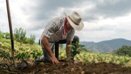 Pequeno-Produtor-rural