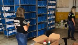 Operação Fake Data, Polícia Civil